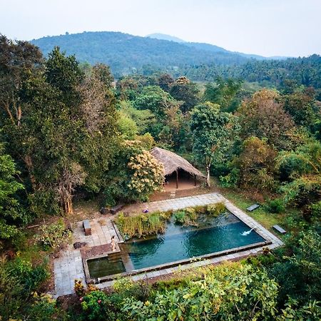 فيلا Dudhsagar Plantation Cormonem المظهر الخارجي الصورة