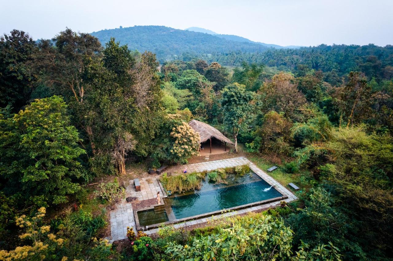 فيلا Cormonemفي Dudhsagar Plantation المظهر الخارجي الصورة