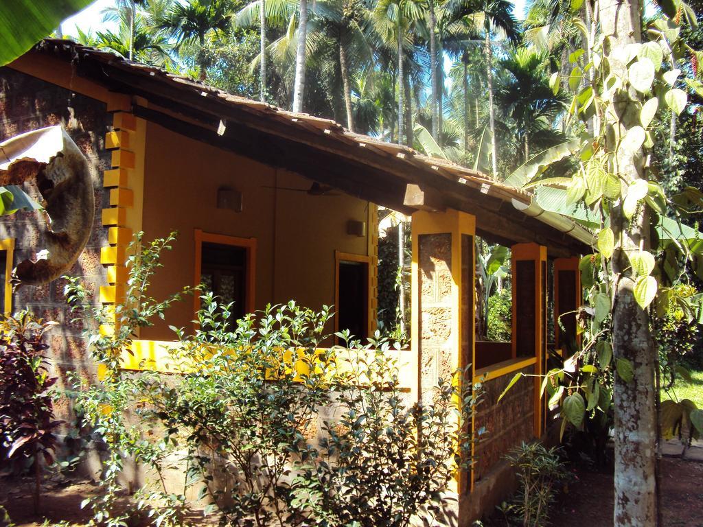 فيلا Cormonemفي Dudhsagar Plantation المظهر الخارجي الصورة