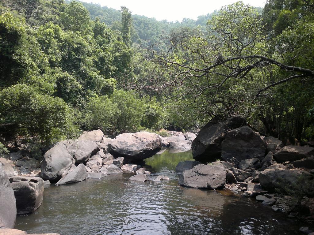 فيلا Dudhsagar Plantation Cormonem المظهر الخارجي الصورة