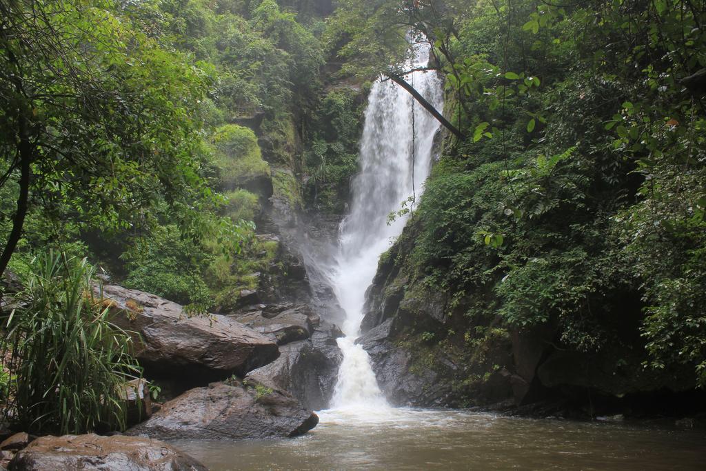 فيلا Dudhsagar Plantation Cormonem المظهر الخارجي الصورة