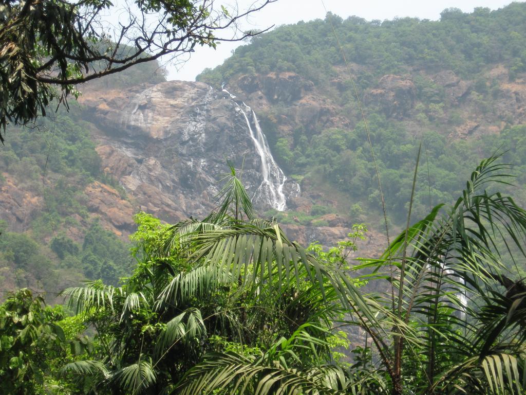 فيلا Cormonemفي Dudhsagar Plantation المظهر الخارجي الصورة