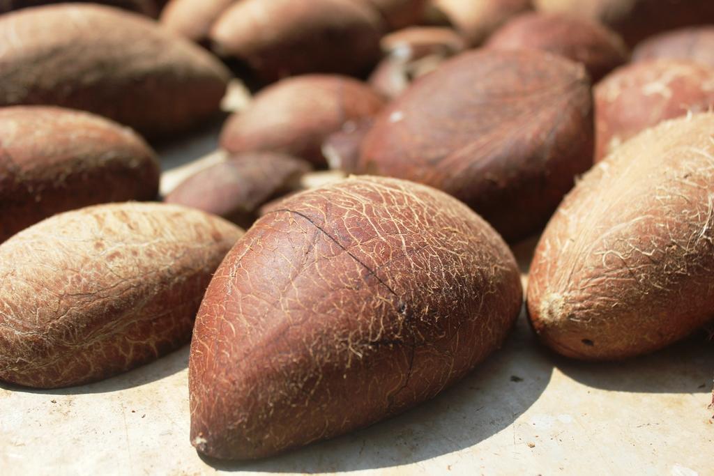 فيلا Cormonemفي Dudhsagar Plantation المظهر الخارجي الصورة