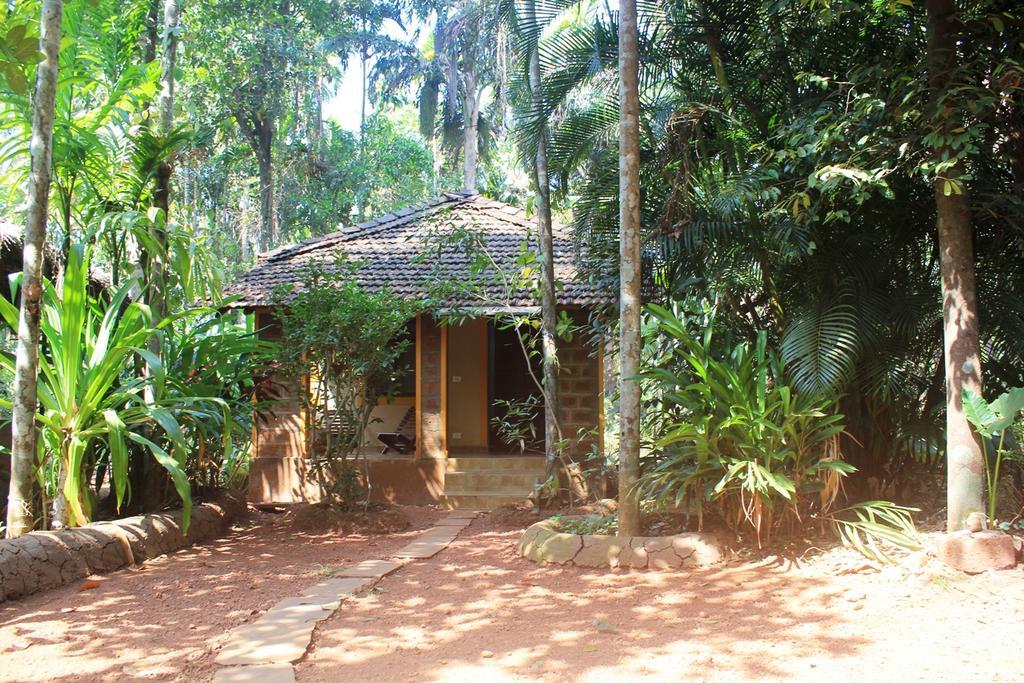 فيلا Dudhsagar Plantation Cormonem المظهر الخارجي الصورة