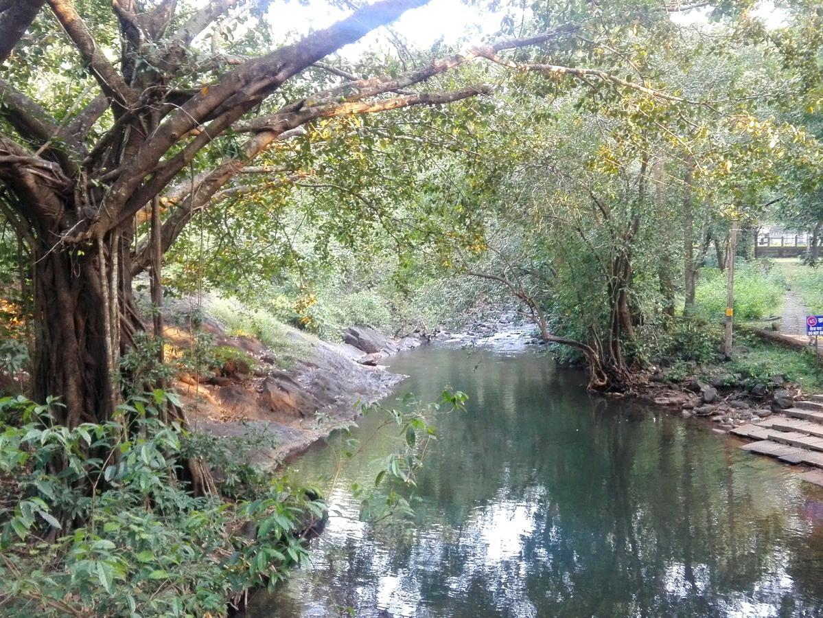 فيلا Cormonemفي Dudhsagar Plantation المظهر الخارجي الصورة