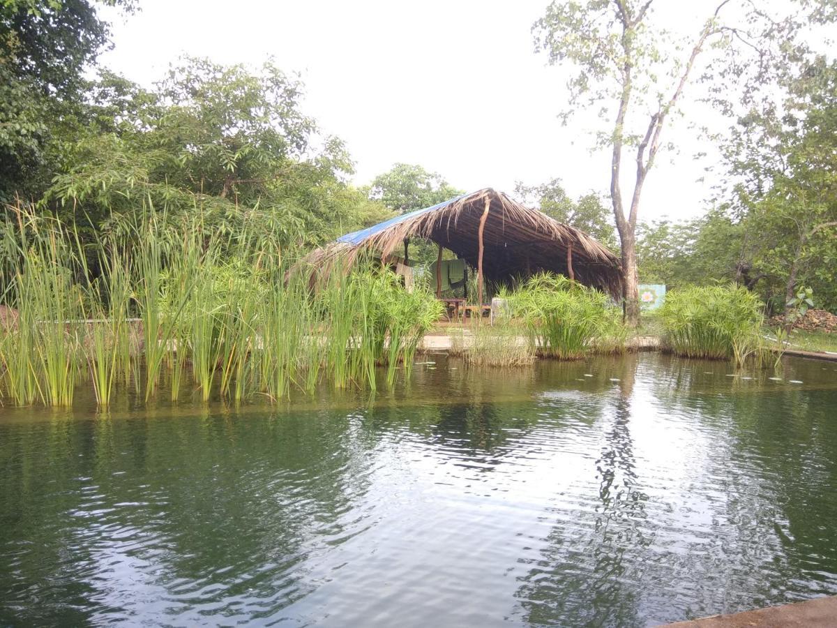 فيلا Dudhsagar Plantation Cormonem المظهر الخارجي الصورة