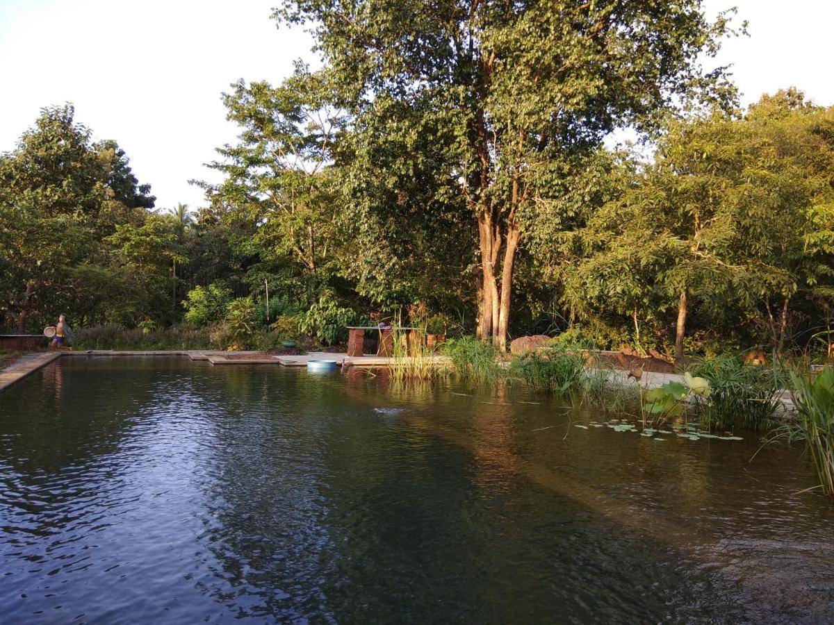 فيلا Dudhsagar Plantation Cormonem المظهر الخارجي الصورة